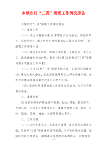 乡镇农村“三资”清理工作情况报告