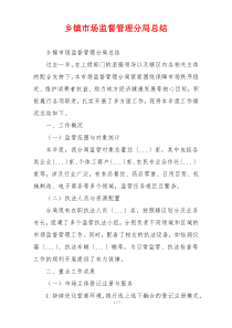 乡镇市场监督管理分局总结