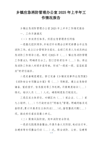 乡镇应急消防管理办公室2026年上半年工作情况报告
