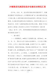 乡镇推进民族团结进步创建活动情况汇报