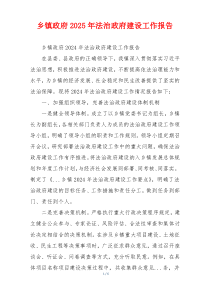 乡镇政府2026年法治政府建设工作报告