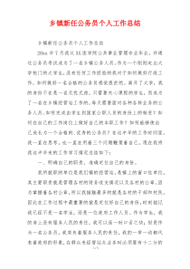 乡镇新任公务员个人工作总结