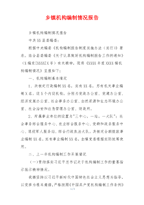 乡镇机构编制情况报告