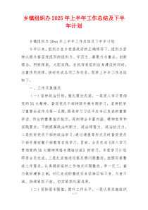 乡镇组织办2026年上半年工作总结及下半年计划