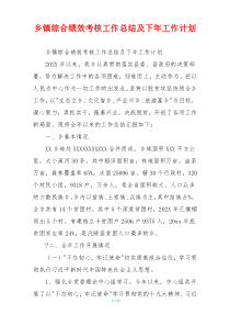 乡镇综合绩效考核工作总结及下年工作计划