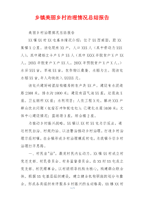 乡镇美丽乡村治理情况总结报告