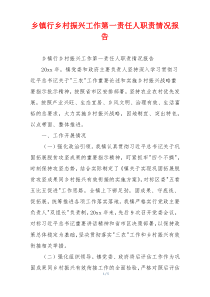 乡镇行乡村振兴工作第一责任人职责情况报告