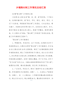 乡镇路长制工作情况总结汇报