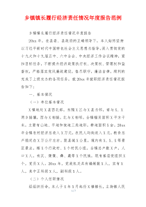乡镇镇长履行经济责任情况年度报告范例