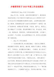 乡镇领导班子2026年度工作总结报告