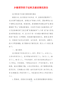 乡镇领导班子运转及建设情况报告