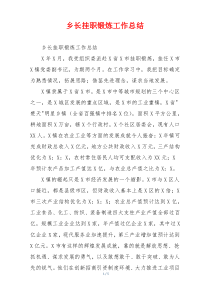 乡长挂职锻炼工作总结