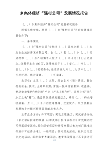 乡集体经济“强村公司”发展情况报告