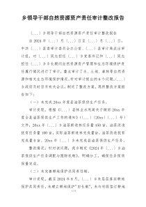 乡领导干部自然资源资产责任审计整改报告