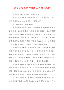 供电公司2026年组织工作情况汇报