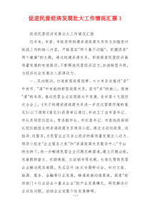 促进民营经济发展壮大工作情况汇报1