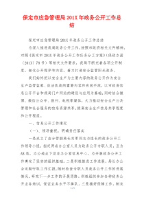 保定市应急管理局201X年政务公开工作总结