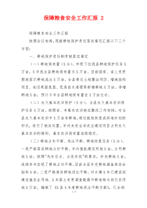 保障粮食安全工作汇报 2