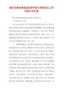 健全完善培养选拔优秀年轻干部常态化工作机制工作汇报