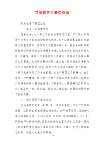 党员领导下基层总结