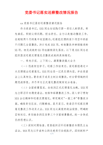 党委书记落实巡察整改情况报告