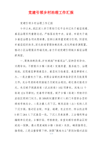 党建引领乡村治理工作汇报