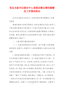 党总支副书记落实中心党委巡察反馈问题整改工作情况报告