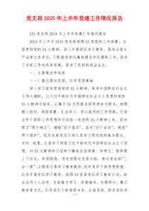党支部2026年上半年党建工作情况报告