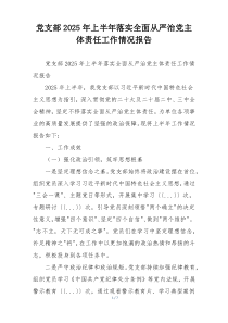 党支部2026年上半年落实全面从严治党主体责任工作情况报告