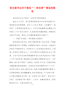 党支部书记关于落实“一岗双责”情况的报告