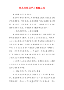 党支部党史学习教育总结