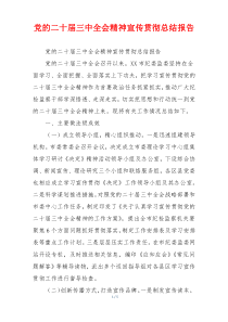 党的二十届三中全会精神宣传贯彻总结报告