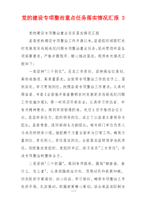 党的建设专项整治重点任务落实情况汇报 3