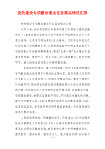 党的建设专项整治重点任务落实情况汇报