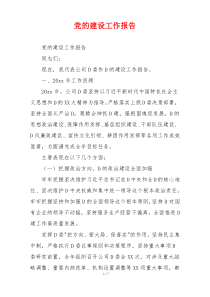 党的建设工作报告