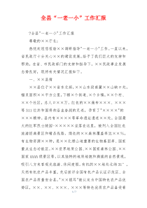 全县“一老一小”工作汇报