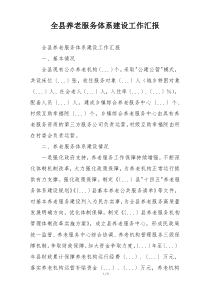 全县养老服务体系建设工作汇报