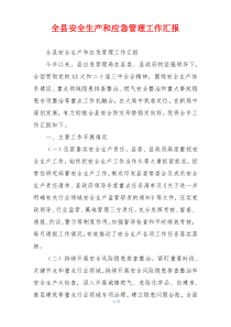 全县安全生产和应急管理工作汇报