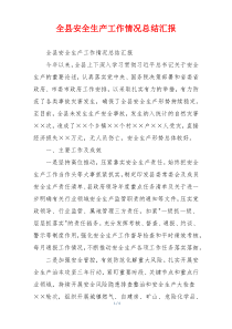 全县安全生产工作情况总结汇报