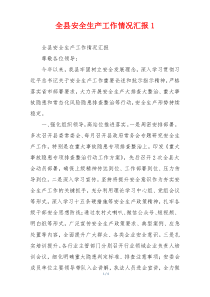 全县安全生产工作情况汇报1