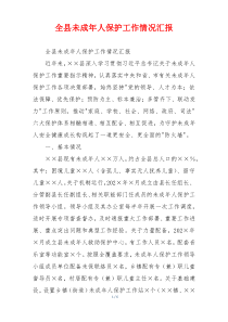 全县未成年人保护工作情况汇报