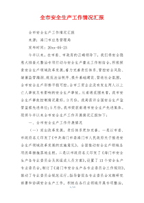 全市安全生产工作情况汇报