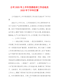 公司2026年上半年党委组织工作总结及2026年下半年打算