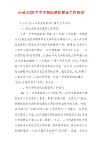 公司2026年党支部标准化建设工作总结