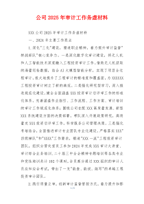 公司2026年审计工作务虚材料