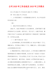 公司2026年工作总结及2026年工作要点