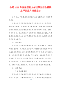 公司2026年度基层党支部组织生活会暨民主评议党员情况总结