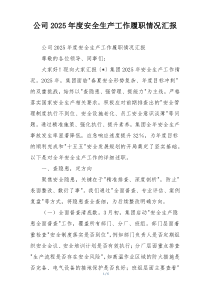 公司2026年度安全生产工作履职情况汇报