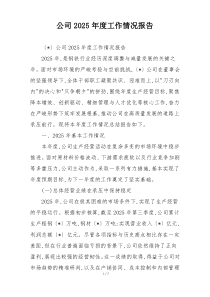 公司2026年度工作情况报告