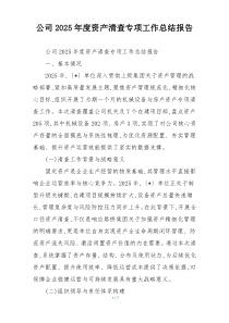 公司2026年度资产清查专项工作总结报告